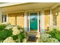 Elegant green front door surrounded by stone and hydrangeas adding curb appeal at 13060 Wembly Cir, Carmel, IN 46033