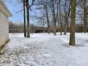 Large backyard with a snow-covered lawn, mature trees and a wooded area at 5791 Station Hill Dr, Avon, IN 46123