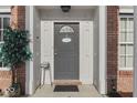 Close-up of a gray front door framed by white trim, brick walls, and decorative potted plants at 387 Legacy Blvd, Greenwood, IN 46143