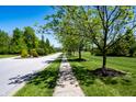 Neighborhood street view showcasing mature trees lining the sidewalk, and manicured lawns at 6034 Bluecrest Dr, Brownsburg, IN 46234