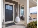 Close up of the home's front porch and front door with decorative vase and seating area at 8660 Hudson Way, Brownsburg, IN 46112