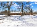 Large backyard with mature trees offering ample space for outdoor activities at 6838 Hague Rd, Indianapolis, IN 46256
