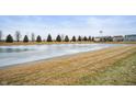 Scenic view of a community pond with well maintained landscaping and surrounding homes at 9698 W Lantern Ln, Pendleton, IN 46064