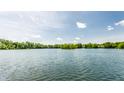 Scenic lake view with serene water and lush green trees along the shoreline at 6560 Dawson Lake Dr, Indianapolis, IN 46220