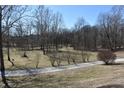 Tranquil view of the wooded landscape surrounding the property at 3546 Stierwalt Rd, Quincy, IN 47456
