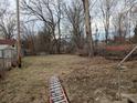 Overgrown backyard presenting a blank canvas for landscaping at 730 Waldemere Ave, Indianapolis, IN 46241