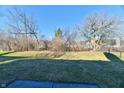Large backyard featuring grass and some trees with a partial view of neighboring yards at 928 N Mill Run Blvd, Greenfield, IN 46140
