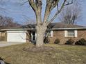 Traditional brick home with mature tree in the front yard and an attached garage at 4921 Dancer Dr, Indianapolis, IN 46237