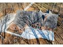 Overhead image showing a large concrete patio with a fire pit and a well maintained roof at 1285 W Judson Ln, Mooresville, IN 46158