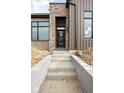 Close up of new construction home showing entry way and stone steps leading to front door at 1668 Carrollton Rail Dr, Westfield, IN 46074