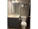 Cozy bathroom featuring a toilet, shower, vanity, mirror, and storage rack at 11215 Cowan Lake Ct, Indianapolis, IN 46235