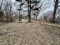 Large open backyard with patchy ground and bare trees at 8328 S Franklin Rd, Indianapolis, IN 46259