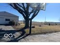 View of a large, sunny backyard with a shed, detached garage, and basketball hoop at 4823 S State Road 75, Jamestown, IN 46147