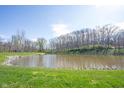 Picturesque pond surrounded by mature trees and lush greenery at 8220 Traders Hollow Ct, Indianapolis, IN 46278