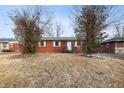 Modest brick home with a symmetrical facade and a welcoming front entrance, framed by bare trees at 4013 Priscilla Ave, Indianapolis, IN 46226