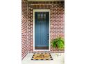 Stylish blue front door framed by brickwork, complemented by a cheerful welcome mat and potted plant at 12167 Ams Run, Carmel, IN 46032