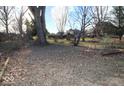A spacious backyard featuring mature trees and natural surroundings at 710 Hanna St, Plainfield, IN 46168