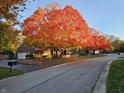 Beautiful homes lined with colorful trees create a vibrant neighborhood scene at 7943 Beaumont Green East Dr, Indianapolis, IN 46250