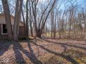 View of the wooded backyard, offering privacy and space for outdoor enjoyment at 5309 Michael Ct, Brownsburg, IN 46112