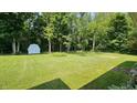 Large, lush backyard with mature trees, offering a serene and private outdoor space at 6040 W Thompson Rd, Indianapolis, IN 46221