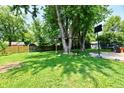 Large backyard featuring mature trees, a playset and a basketball hoop at 2700 Yellowwood Ct, Columbus, IN 47203