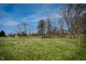 Large backyard featuring a grassy field and trees at 3045 N Lasalle St, Indianapolis, IN 46218