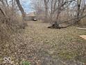 Overgrown backyard area with trees and debris, next to a dilapidated house at 1724 Sheldon St, Indianapolis, IN 46218