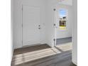 Bright entryway features a white front door, wood-look floors, and natural light at 9198 Anthem Ave, Plainfield, IN 46168