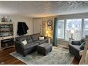 Cozy living room featuring comfortable seating, a large window, and a stylish area rug at 428 E Trevor St, Brownsburg, IN 46112