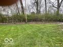 Expansive backyard with lush green grass and a mature tree line at 3014 Arbor Ave, Indianapolis, IN 46217