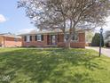 Brick ranch-style home with a mature tree and landscaped front yard at 1035 N Audubon Rd, Indianapolis, IN 46219