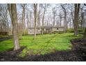 A quaint stone home is nestled in the woods amongst a bed of ivy at 5918 Camelback Ct, Indianapolis, IN 46250