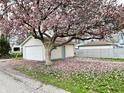 Detached garage surrounded by a beautiful magnolia tree with vibrant pink blossoms at 648 W South St, Shelbyville, IN 46176