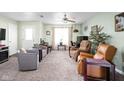 Comfortable living room featuring carpet floors, light green walls, and large windows with natural light at 5357 Collett E Dr, Camby, IN 46113