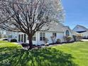 Manicured backyard featuring white siding, blooming trees, and a well-maintained lawn at 5129 W Preakness Ct, Muncie, IN 47304