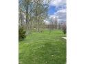 Expansive grassy backyard bordered by mature trees offering a serene view at 6389 N Forest St, Martinsville, IN 46151