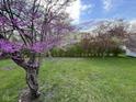 Spacious backyard featuring a beautiful flowering tree and green lawn at 7740 5 Points Rd, Indianapolis, IN 46259