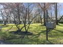 Charming home with lush front yard and decorative mailbox, creating curb appeal at 6025 Crows Nest Dr, Indianapolis, IN 46228