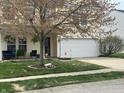 Well-manicured front yard featuring a mature tree and a freshly poured concrete driveway at 9873 Blue Ridge Way, Indianapolis, IN 46234
