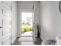 Inviting foyer with a view of the front yard through the open front door at 8694 Moyer Pl, Pendleton, IN 46064