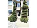 Close-up view of the front door framed by manicured trees and a stone walkway at 4414 Hickory Grove Blvd, Greenwood, IN 46143