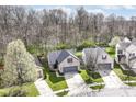 Overhead view of homes with well-kept lawns, mature trees, and driveways at 10839 Cedar Pine Dr, Indianapolis, IN 46235