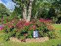 Gorgeous front yard with brick-lined garden bed filled with bright pink roses, tree, and Colts sign adding character at 3155 W 57Th St, Indianapolis, IN 46228