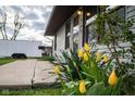 Close-up view of a well-kept yard with vibrant yellow flowers in a residential neighborhood at 248 Parkview Dr, Whiteland, IN 46184