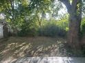 Backyard featuring a large tree providing shade, wooden deck and lush green foliage at 1 Lenora Ave, Indianapolis, IN 46231