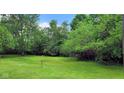 Expansive green backyard with lush trees and a well-maintained lawn at 935 Fry Rd, Greenwood, IN 46142