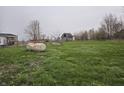 A spacious backyard with a shed at 1152 W 375 N, Anderson, IN 46011