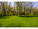 Lush green backyard featuring mature trees, offering a private and serene setting at 4731 Moss Creek Ct, Indianapolis, IN 46237