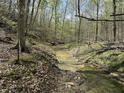 Tranquil creek flowing through a wooded area on the property, showcasing natural beauty at 8448 E Dobbs Cemetary Rd, Columbus, IN 47201