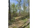 Scenic walking trail winding through the lush, wooded property, perfect for outdoor enjoyment at 8448 E Dobbs Cemetary Rd, Columbus, IN 47201